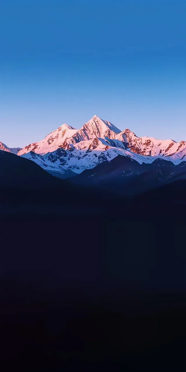 电脑避坑指南